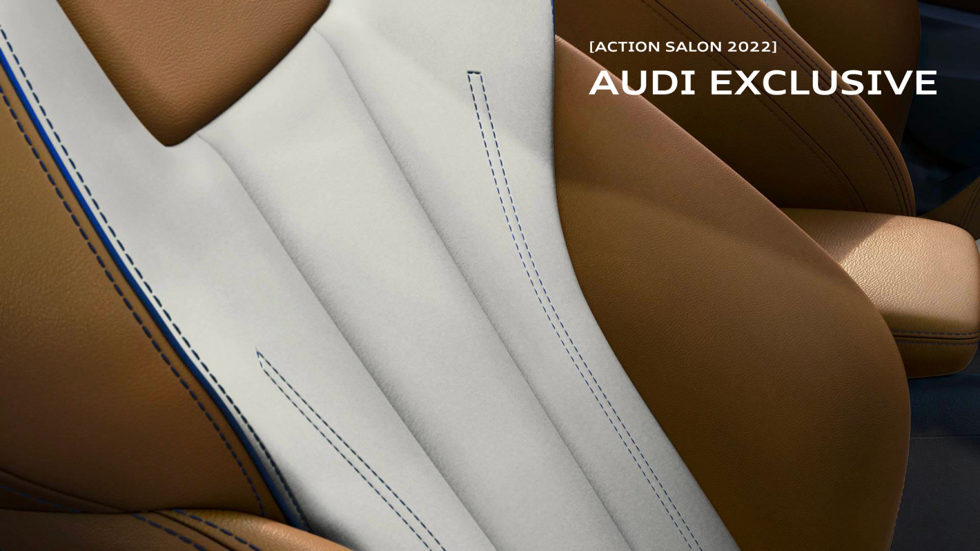 Audi exclusive action salon